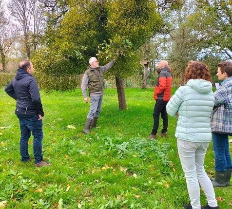 Inwoners krijgen uitleg over bomen