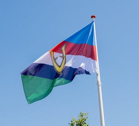 vlag